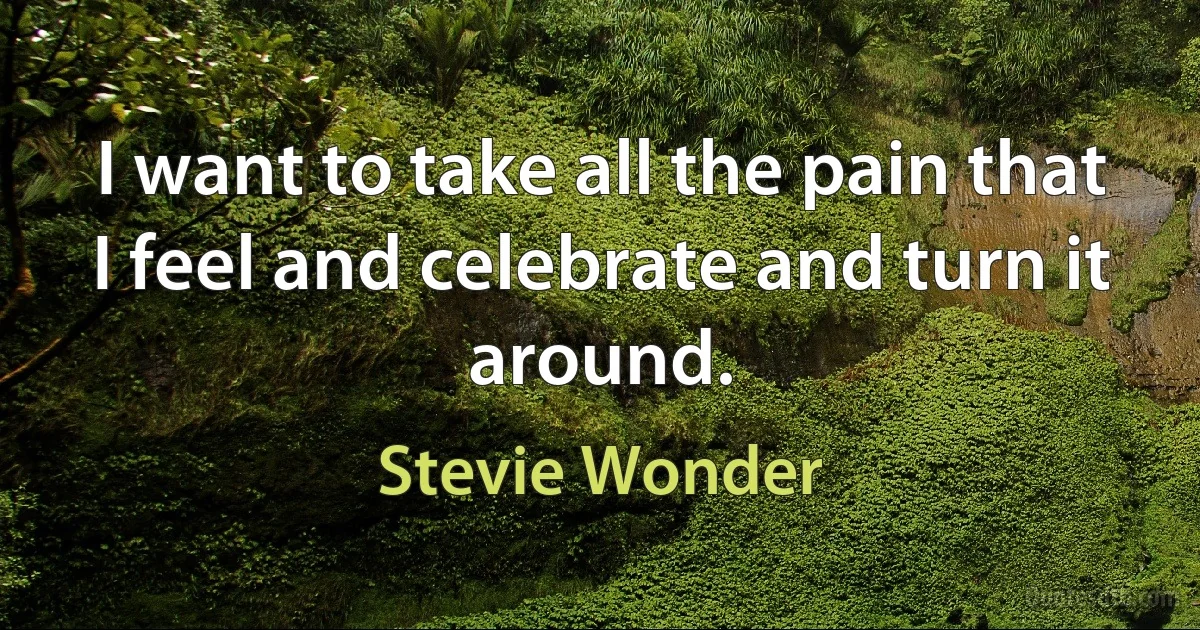 I want to take all the pain that I feel and celebrate and turn it around. (Stevie Wonder)