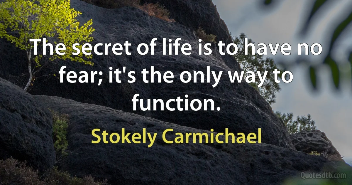 The secret of life is to have no fear; it's the only way to function. (Stokely Carmichael)