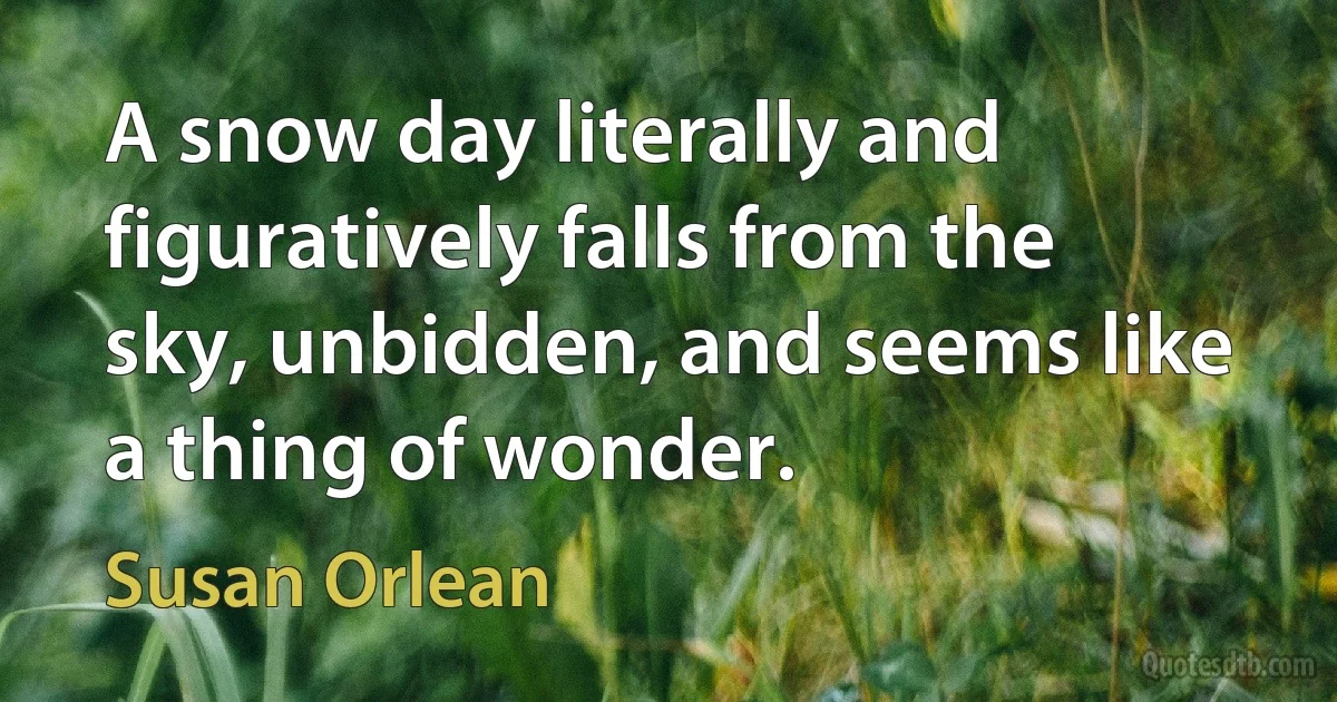 A snow day literally and figuratively falls from the sky, unbidden, and seems like a thing of wonder. (Susan Orlean)