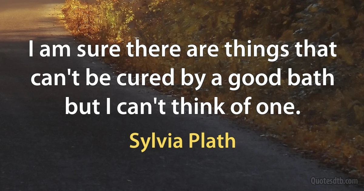 I am sure there are things that can't be cured by a good bath but I can't think of one. (Sylvia Plath)