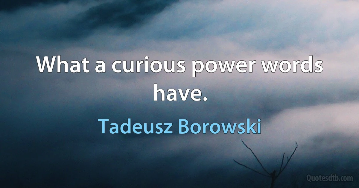 What a curious power words have. (Tadeusz Borowski)