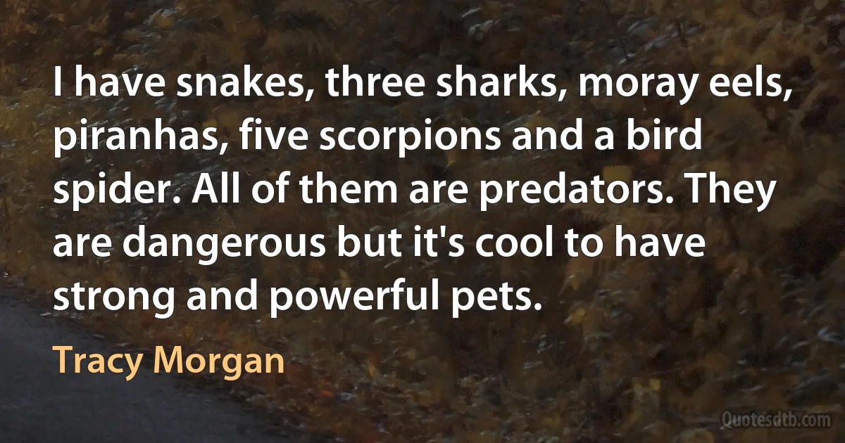 I have snakes, three sharks, moray eels, piranhas, five scorpions and a bird spider. All of them are predators. They are dangerous but it's cool to have strong and powerful pets. (Tracy Morgan)