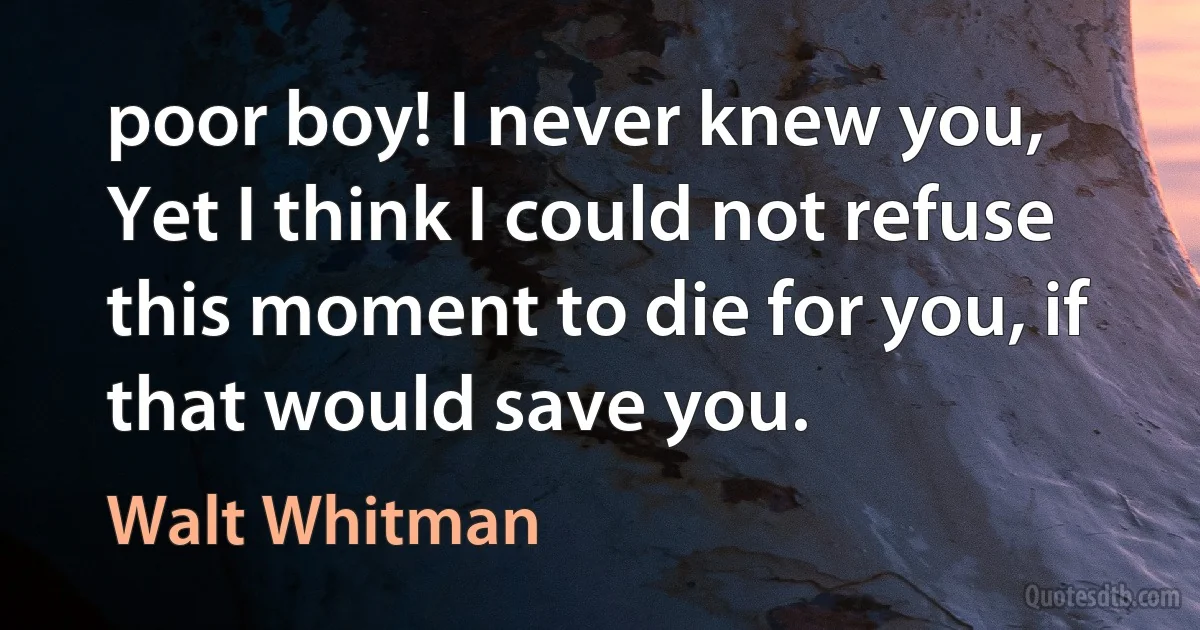 poor boy! I never knew you, Yet I think I could not refuse this moment to die for you, if that would save you. (Walt Whitman)