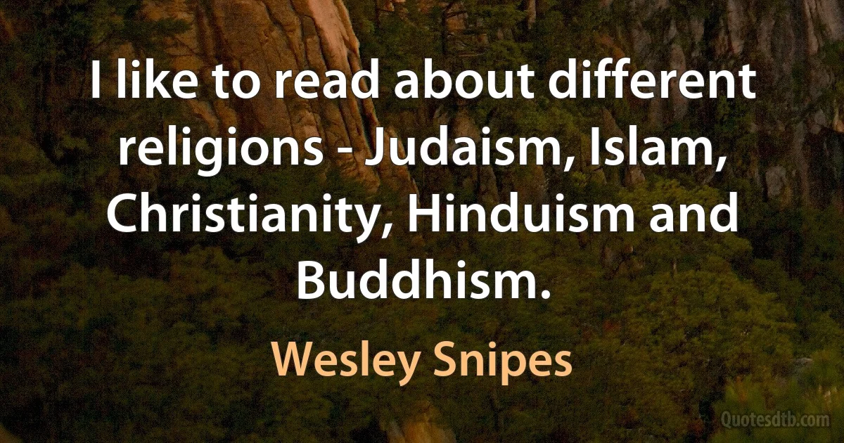 I like to read about different religions - Judaism, Islam, Christianity, Hinduism and Buddhism. (Wesley Snipes)