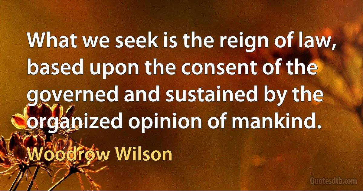 What we seek is the reign of law, based upon the consent of the governed and sustained by the organized opinion of mankind. (Woodrow Wilson)