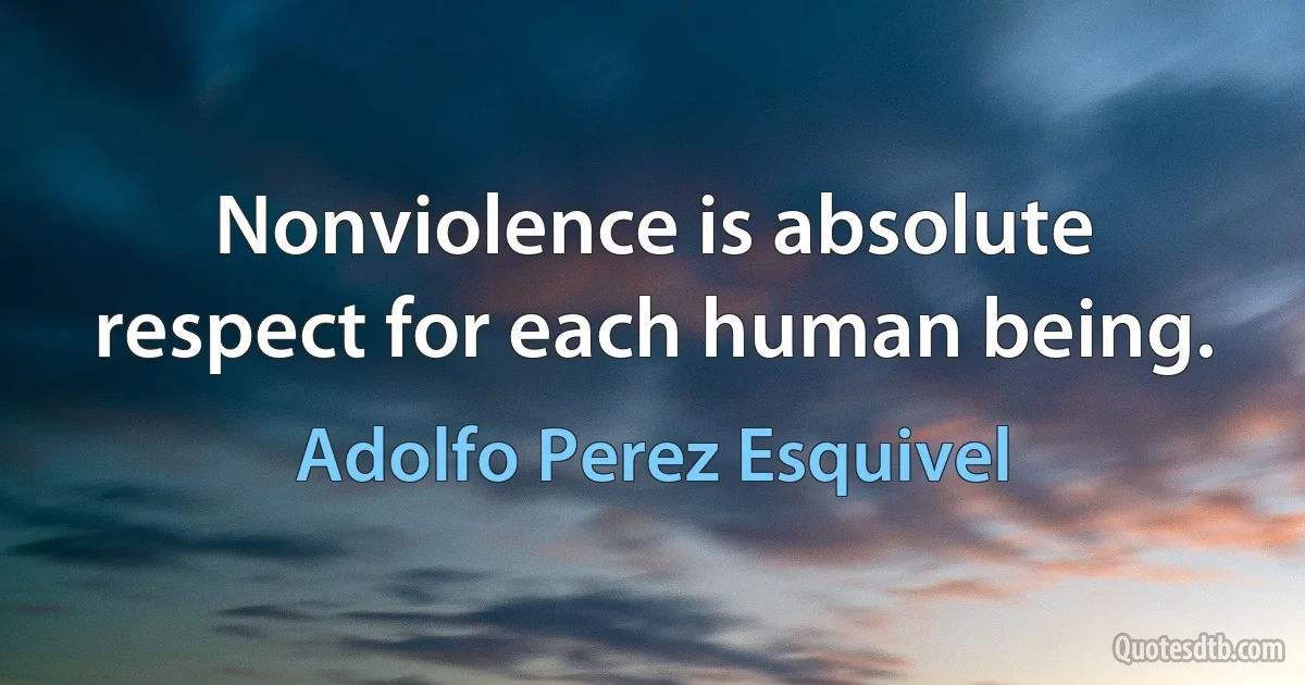 Nonviolence is absolute respect for each human being. (Adolfo Perez Esquivel)