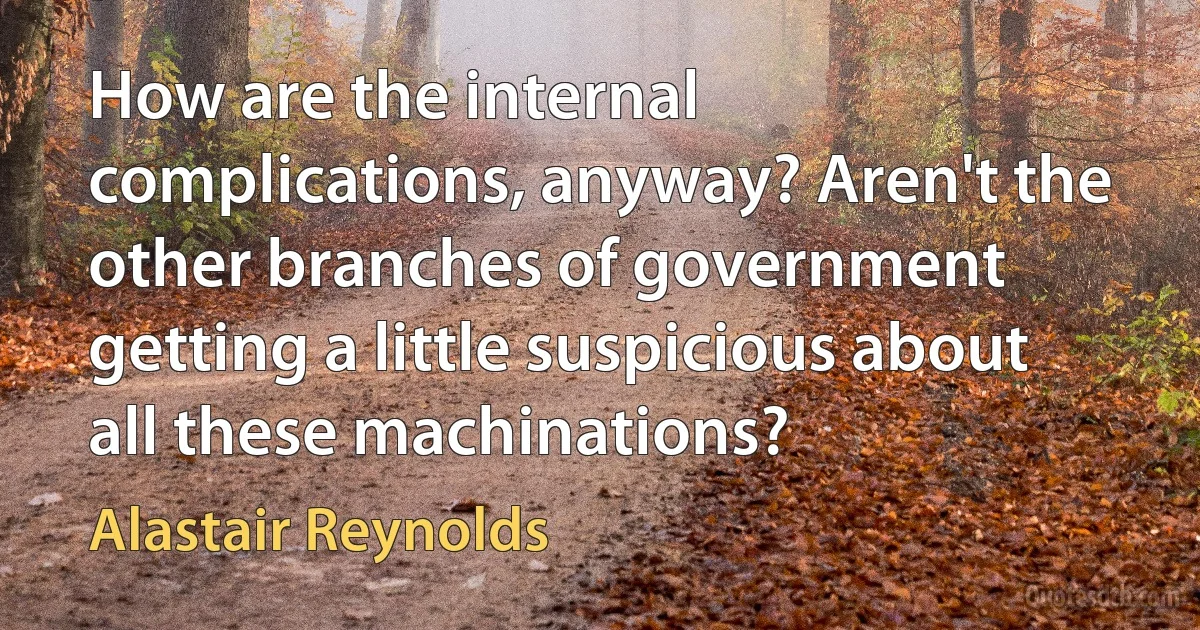 How are the internal complications, anyway? Aren't the other branches of government getting a little suspicious about all these machinations? (Alastair Reynolds)