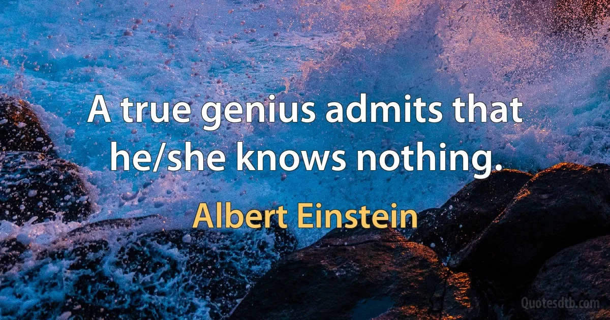 A true genius admits that he/she knows nothing. (Albert Einstein)