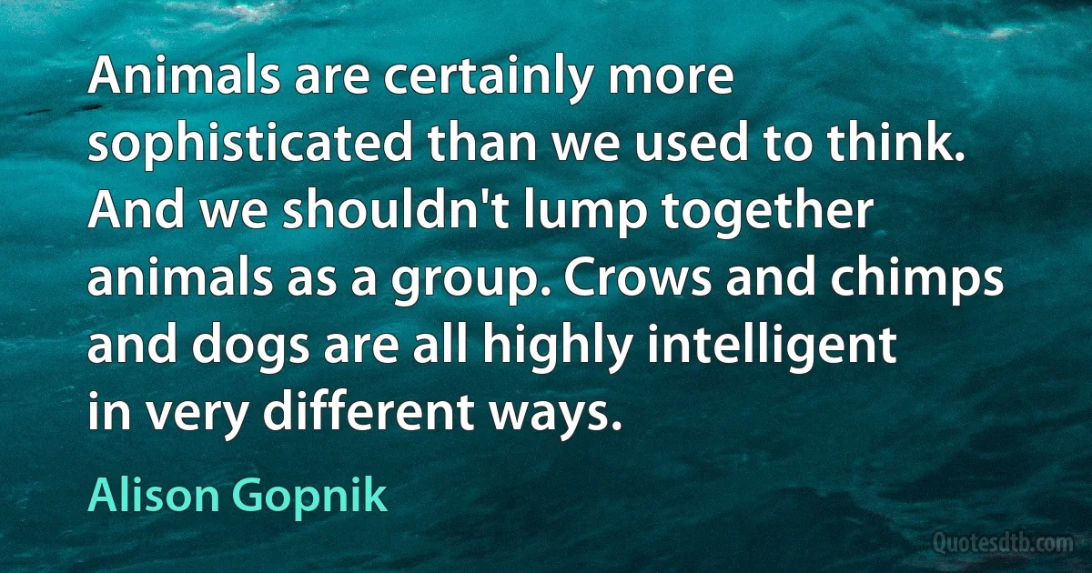 Animals are certainly more sophisticated than we used to think. And we shouldn't lump together animals as a group. Crows and chimps and dogs are all highly intelligent in very different ways. (Alison Gopnik)