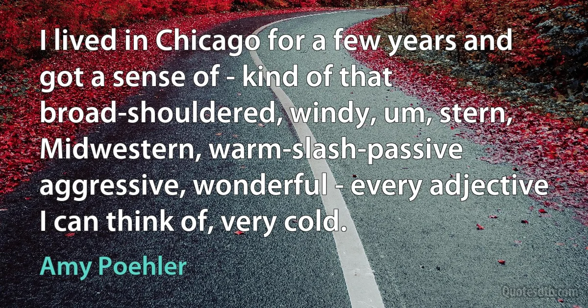 I lived in Chicago for a few years and got a sense of - kind of that broad-shouldered, windy, um, stern, Midwestern, warm-slash-passive aggressive, wonderful - every adjective I can think of, very cold. (Amy Poehler)