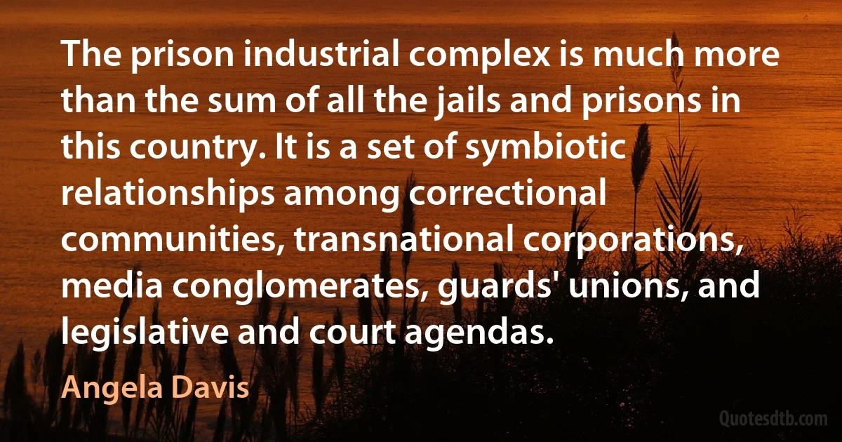 The prison industrial complex is much more than the sum of all the jails and prisons in this country. It is a set of symbiotic relationships among correctional communities, transnational corporations, media conglomerates, guards' unions, and legislative and court agendas. (Angela Davis)