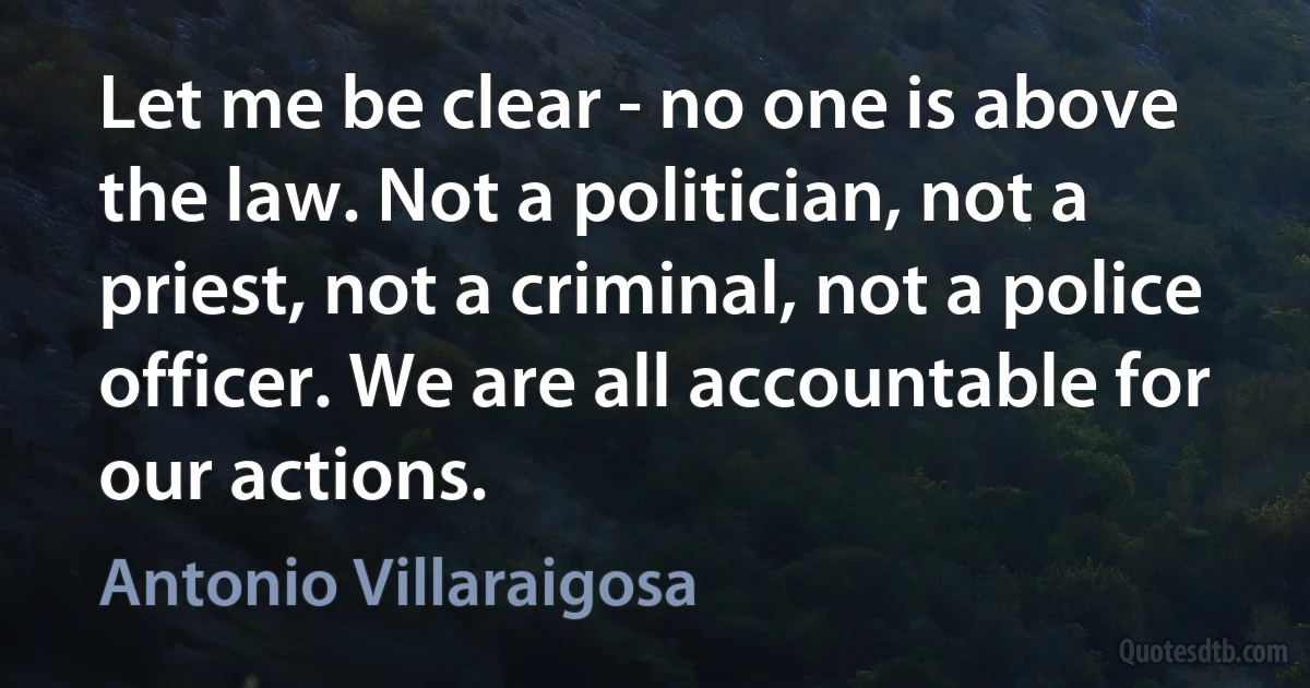 Let me be clear - no one is above the law. Not a politician, not a priest, not a criminal, not a police officer. We are all accountable for our actions. (Antonio Villaraigosa)