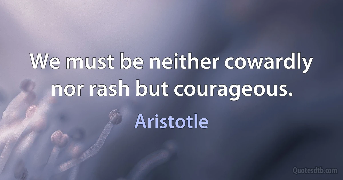 We must be neither cowardly nor rash but courageous. (Aristotle)