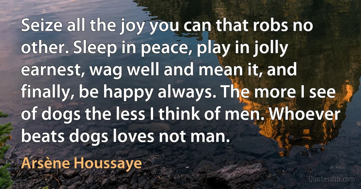 Seize all the joy you can that robs no other. Sleep in peace, play in jolly earnest, wag well and mean it, and finally, be happy always. The more I see of dogs the less I think of men. Whoever beats dogs loves not man. (Arsène Houssaye)