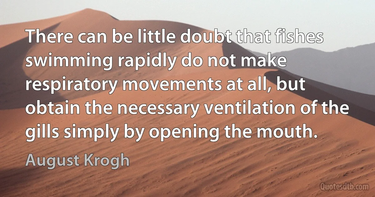 There can be little doubt that fishes swimming rapidly do not make respiratory movements at all, but obtain the necessary ventilation of the gills simply by opening the mouth. (August Krogh)