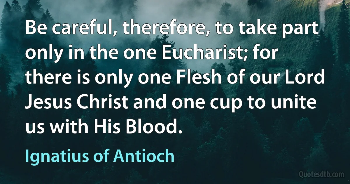 Be careful, therefore, to take part only in the one Eucharist; for there is only one Flesh of our Lord Jesus Christ and one cup to unite us with His Blood. (Ignatius of Antioch)