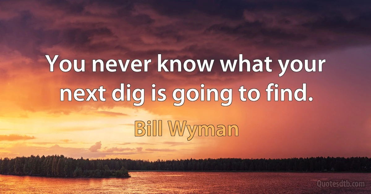 You never know what your next dig is going to find. (Bill Wyman)