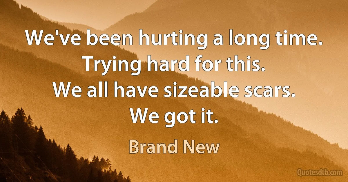 We've been hurting a long time.
Trying hard for this.
We all have sizeable scars.
We got it. (Brand New)