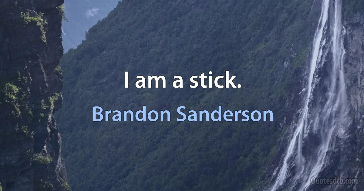 I am a stick. (Brandon Sanderson)