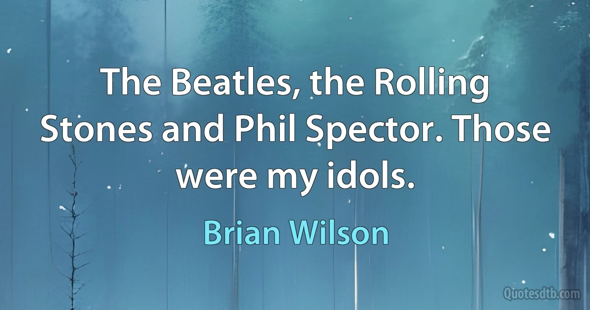 The Beatles, the Rolling Stones and Phil Spector. Those were my idols. (Brian Wilson)