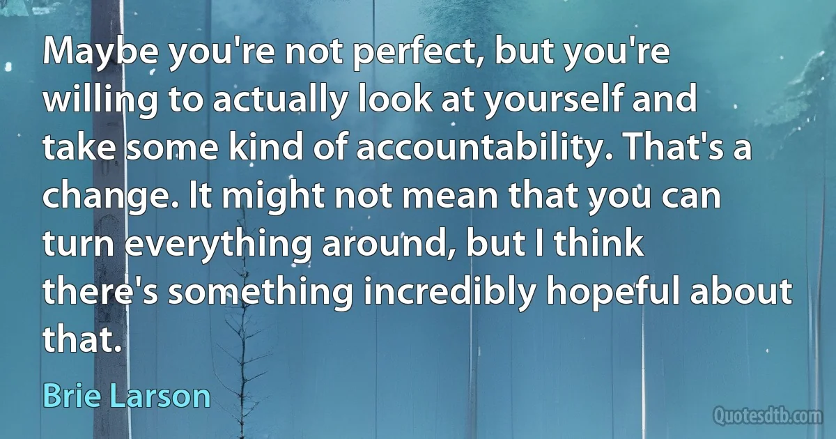 Maybe you're not perfect, but you're willing to actually look at yourself and take some kind of accountability. That's a change. It might not mean that you can turn everything around, but I think there's something incredibly hopeful about that. (Brie Larson)