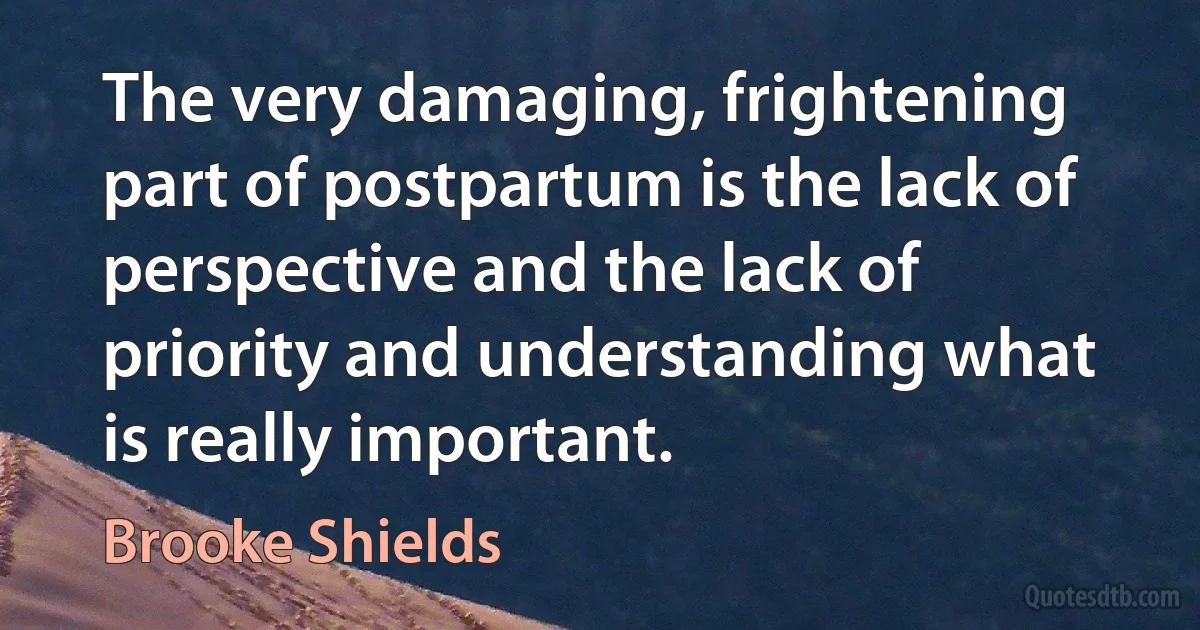 The very damaging, frightening part of postpartum is the lack of perspective and the lack of priority and understanding what is really important. (Brooke Shields)