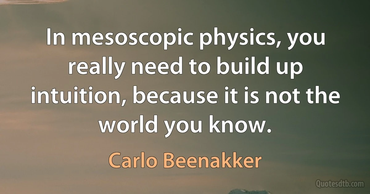 In mesoscopic physics, you really need to build up intuition, because it is not the world you know. (Carlo Beenakker)