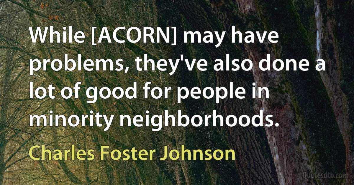 While [ACORN] may have problems, they've also done a lot of good for people in minority neighborhoods. (Charles Foster Johnson)