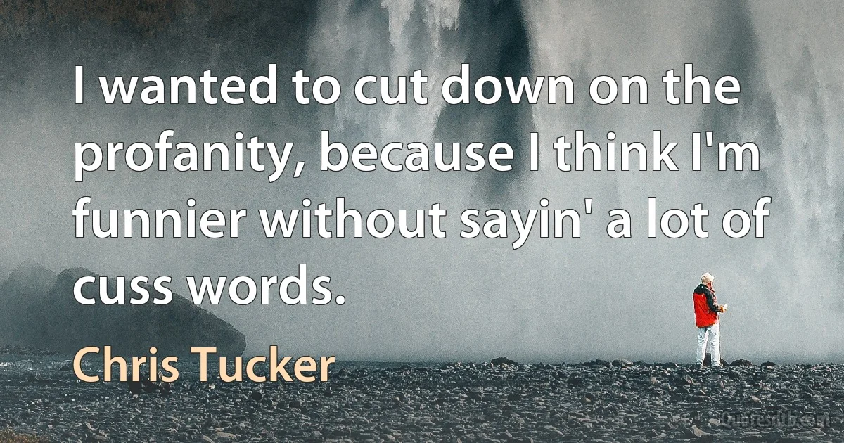 I wanted to cut down on the profanity, because I think I'm funnier without sayin' a lot of cuss words. (Chris Tucker)