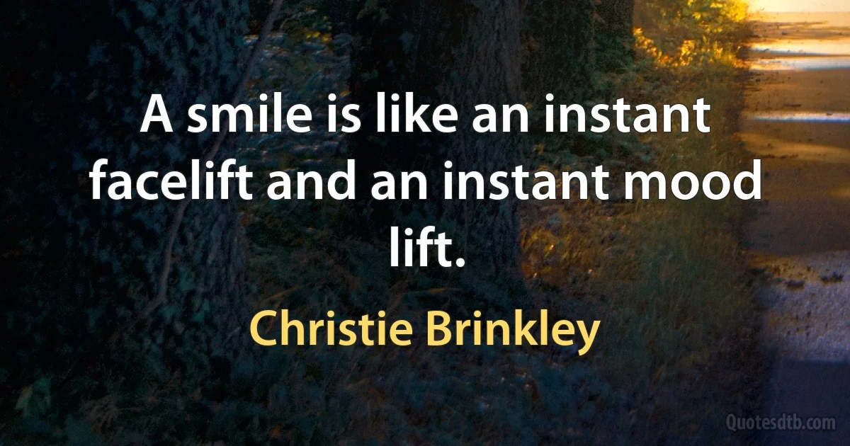 A smile is like an instant facelift and an instant mood lift. (Christie Brinkley)