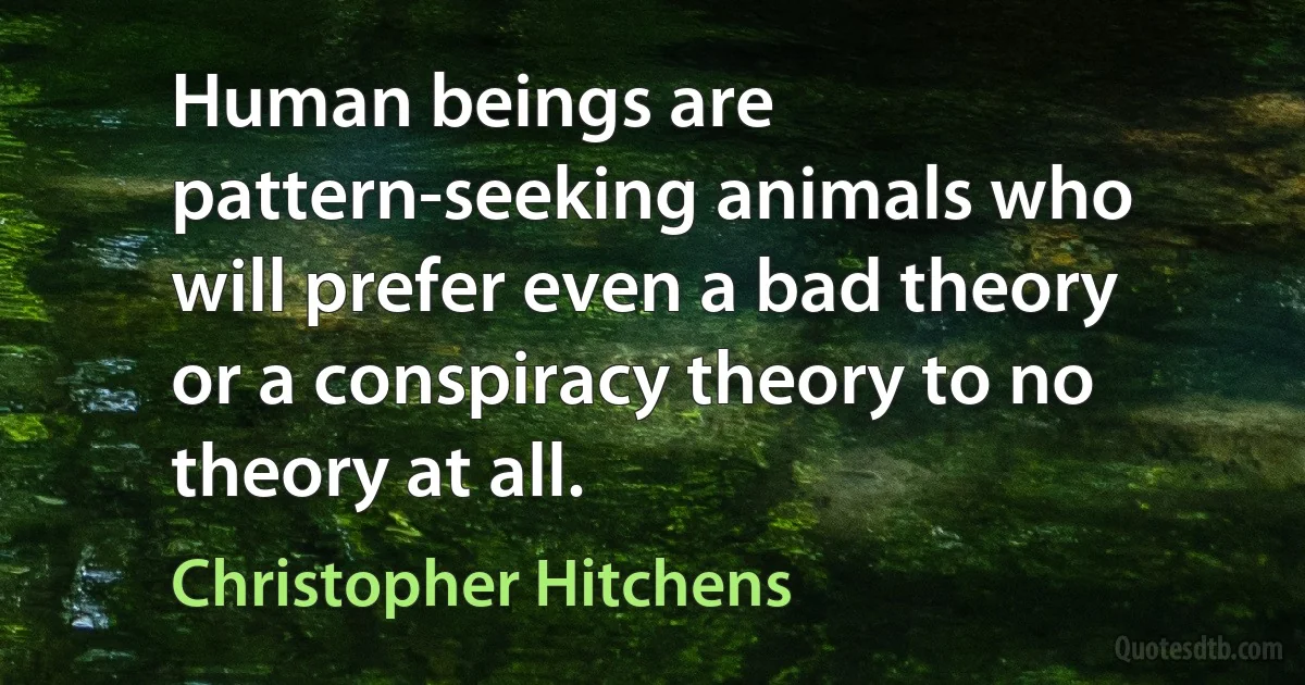 Human beings are pattern-seeking animals who will prefer even a bad theory or a conspiracy theory to no theory at all. (Christopher Hitchens)