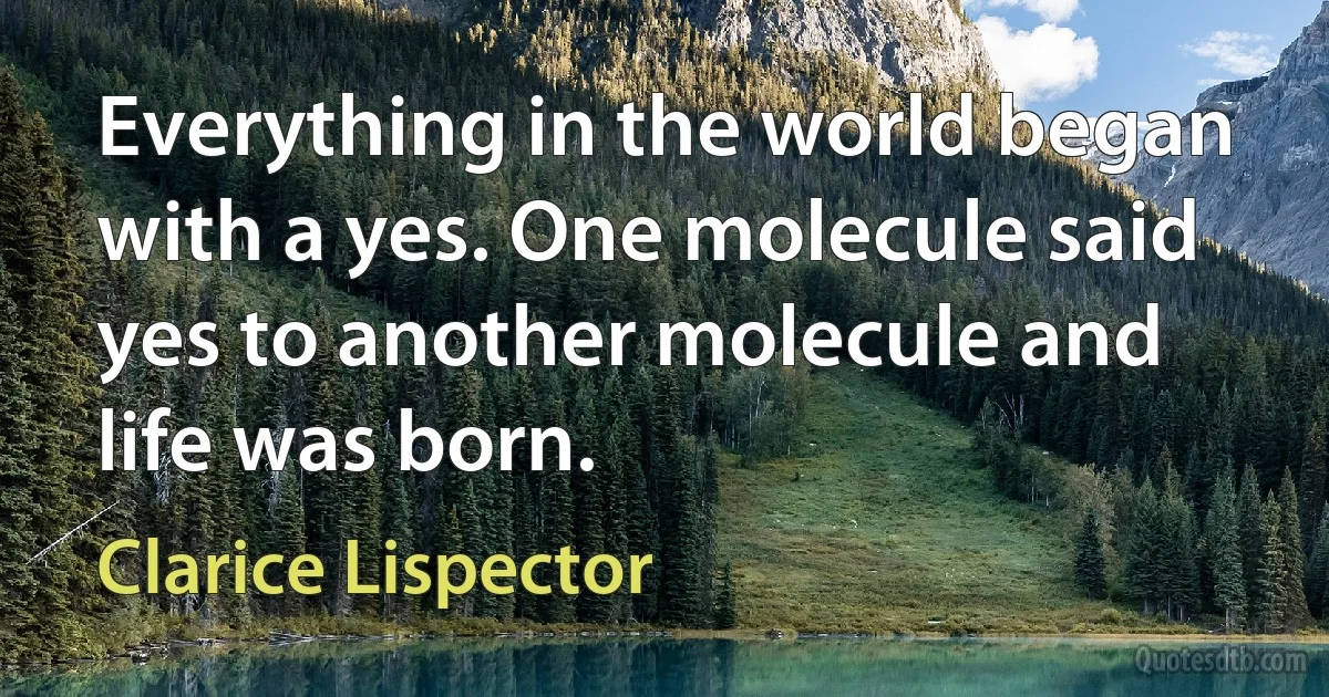 Everything in the world began with a yes. One molecule said yes to another molecule and life was born. (Clarice Lispector)