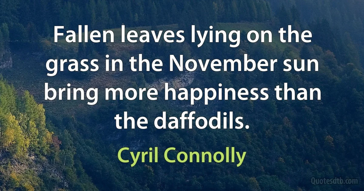 Fallen leaves lying on the grass in the November sun bring more happiness than the daffodils. (Cyril Connolly)