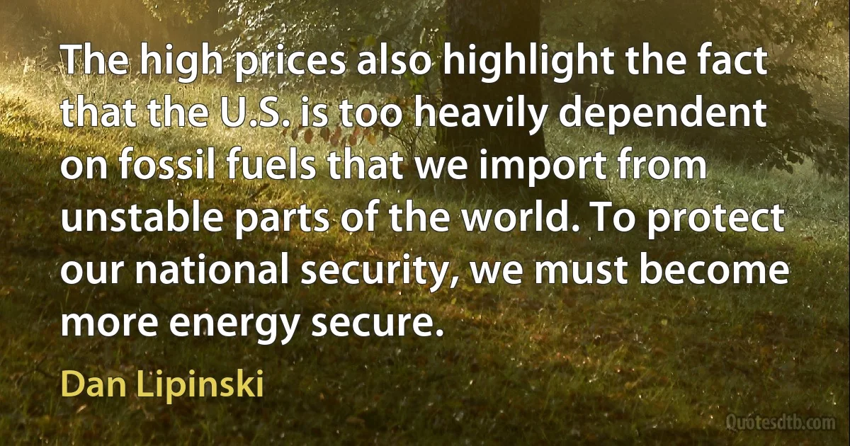 The high prices also highlight the fact that the U.S. is too heavily dependent on fossil fuels that we import from unstable parts of the world. To protect our national security, we must become more energy secure. (Dan Lipinski)