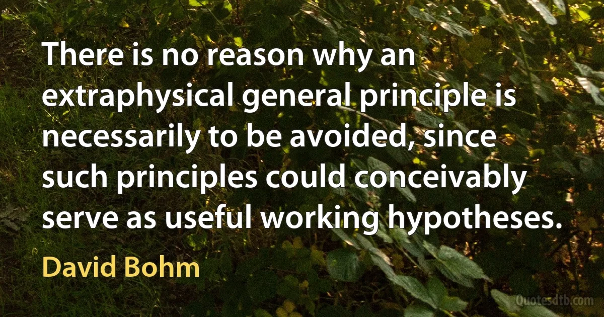 There is no reason why an extraphysical general principle is necessarily to be avoided, since such principles could conceivably serve as useful working hypotheses. (David Bohm)