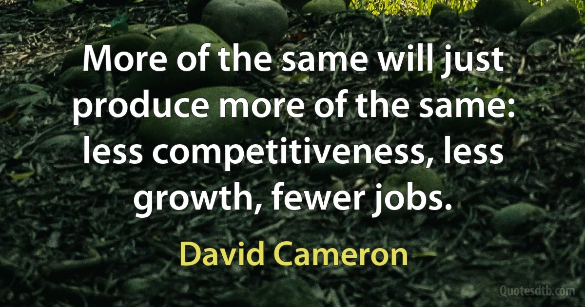 More of the same will just produce more of the same: less competitiveness, less growth, fewer jobs. (David Cameron)