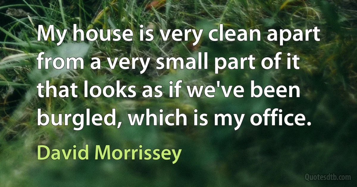 My house is very clean apart from a very small part of it that looks as if we've been burgled, which is my office. (David Morrissey)