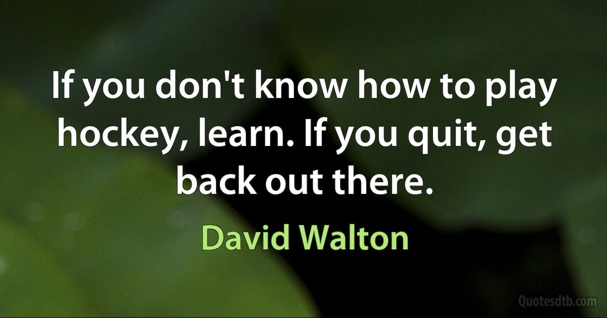 If you don't know how to play hockey, learn. If you quit, get back out there. (David Walton)