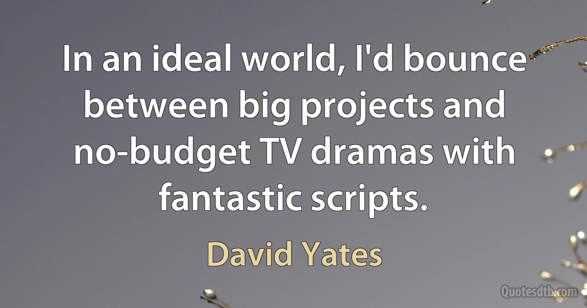 In an ideal world, I'd bounce between big projects and no-budget TV dramas with fantastic scripts. (David Yates)