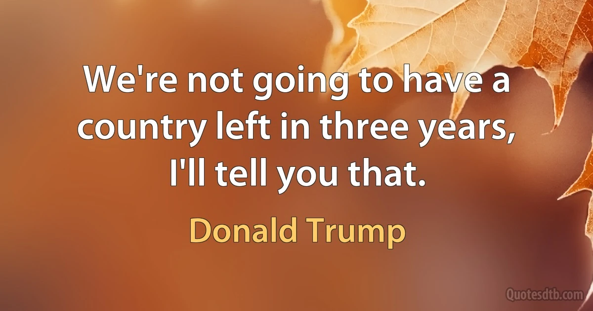 We're not going to have a country left in three years, I'll tell you that. (Donald Trump)