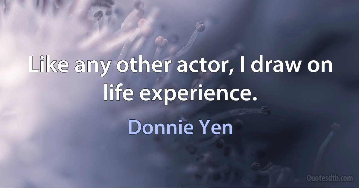 Like any other actor, I draw on life experience. (Donnie Yen)