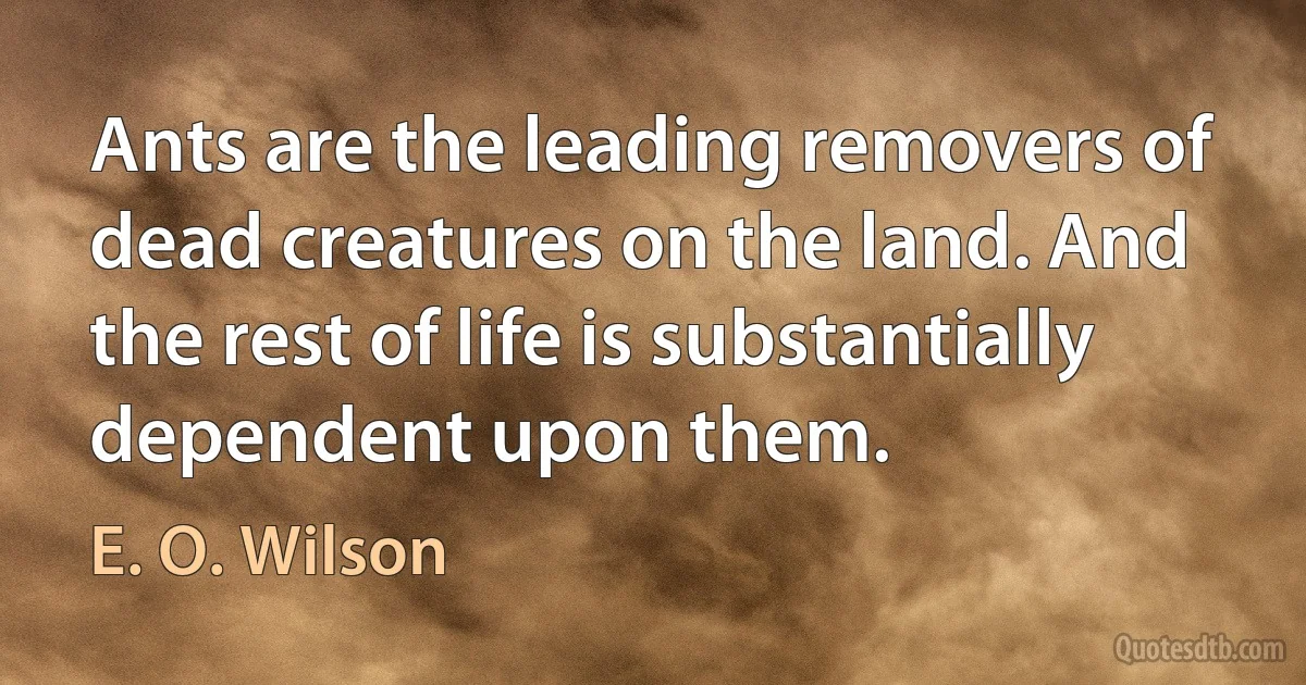 Ants are the leading removers of dead creatures on the land. And the rest of life is substantially dependent upon them. (E. O. Wilson)