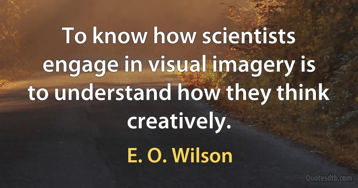 To know how scientists engage in visual imagery is to understand how they think creatively. (E. O. Wilson)