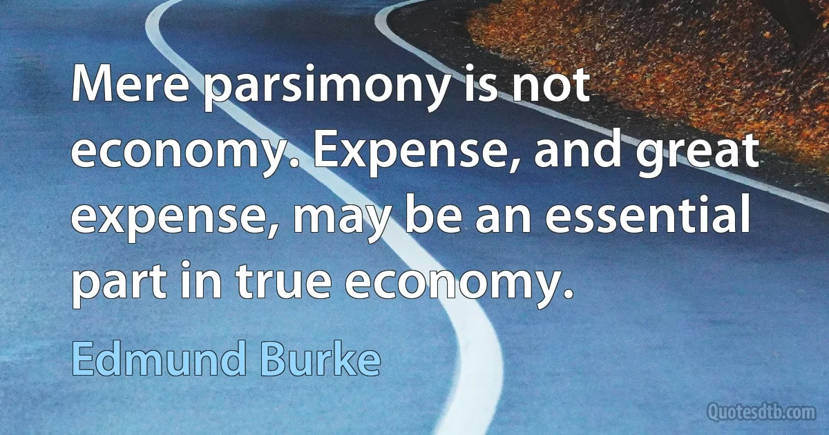 Mere parsimony is not economy. Expense, and great expense, may be an essential part in true economy. (Edmund Burke)