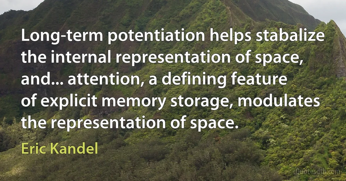 Long-term potentiation helps stabalize the internal representation of space, and... attention, a defining feature of explicit memory storage, modulates the representation of space. (Eric Kandel)