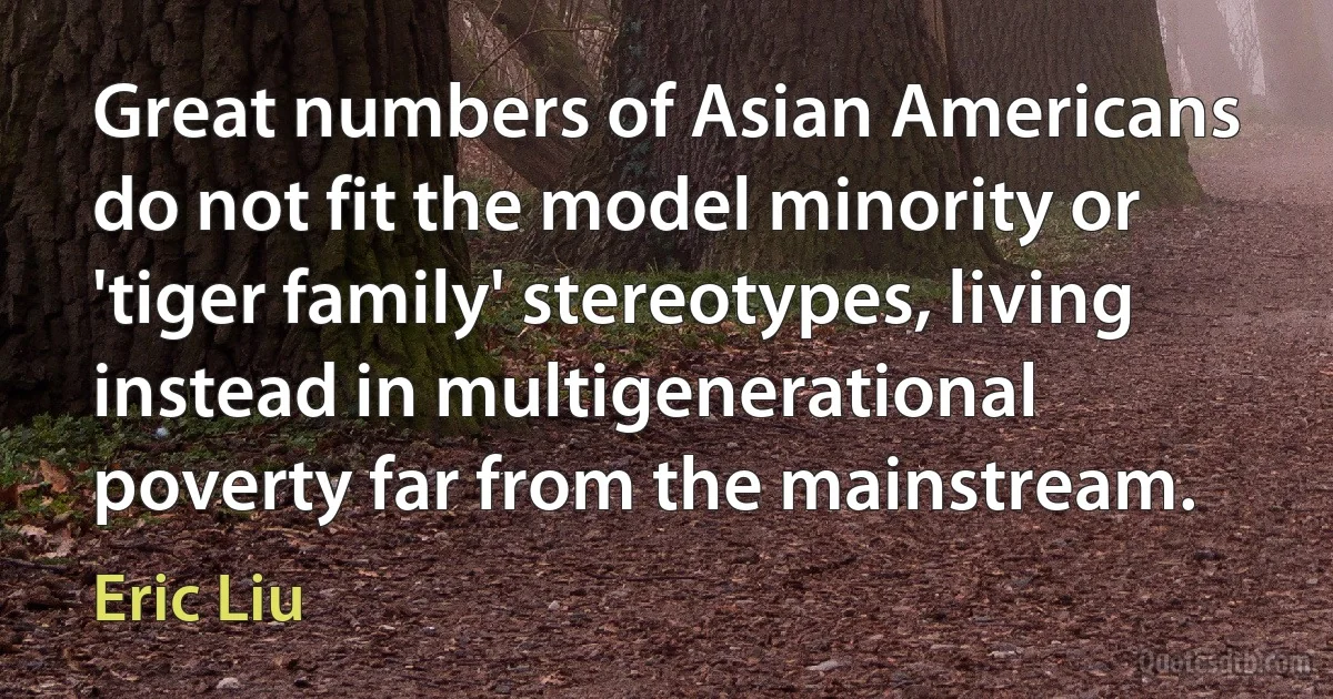 Great numbers of Asian Americans do not fit the model minority or 'tiger family' stereotypes, living instead in multigenerational poverty far from the mainstream. (Eric Liu)