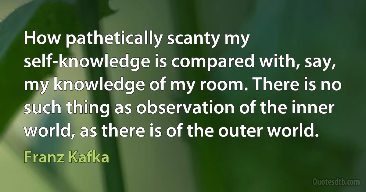 How pathetically scanty my self-knowledge is compared with, say, my knowledge of my room. There is no such thing as observation of the inner world, as there is of the outer world. (Franz Kafka)