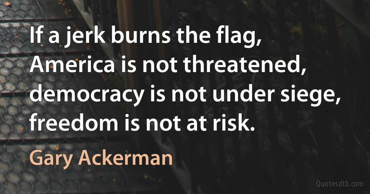 If a jerk burns the flag, America is not threatened, democracy is not under siege, freedom is not at risk. (Gary Ackerman)