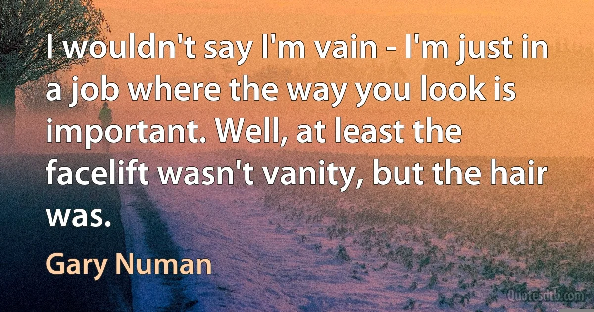 I wouldn't say I'm vain - I'm just in a job where the way you look is important. Well, at least the facelift wasn't vanity, but the hair was. (Gary Numan)