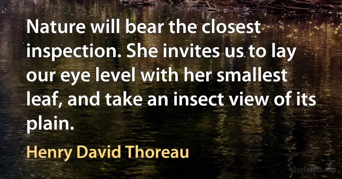 Nature will bear the closest inspection. She invites us to lay our eye level with her smallest leaf, and take an insect view of its plain. (Henry David Thoreau)